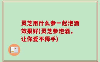 灵芝用什么参一起泡酒效果好(灵芝参泡酒，让你爱不释手)