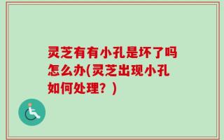 灵芝有有小孔是坏了吗怎么办(灵芝出现小孔如何处理？)