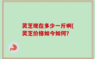 灵芝现在多少一斤啊(灵芝价格如今如何？