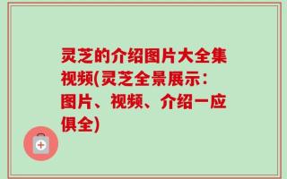灵芝的介绍图片大全集视频(灵芝全景展示：图片、视频、介绍一应俱全)