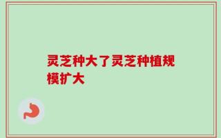 灵芝种大了灵芝种植规模扩大