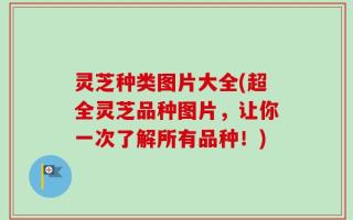灵芝种类图片大全(超全灵芝品种图片，让你一次了解所有品种！)