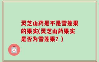 灵芝山药是不是雪莲果的果实(灵芝山药果实是否为雪莲果？)