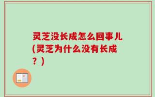 灵芝没长成怎么回事儿(灵芝为什么没有长成？)