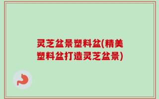 灵芝盆景塑料盆(精美塑料盆打造灵芝盆景)