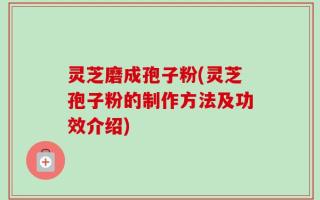 灵芝磨成孢子粉(灵芝孢子粉的制作方法及功效介绍)