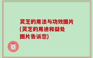 灵芝的用法与功效图片(灵芝的用途和益处 图片告诉您)