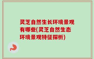 灵芝自然生长环境景观有哪些(灵芝自然生态环境景观特征探析)