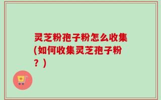 灵芝粉孢子粉怎么收集(如何收集灵芝孢子粉？)