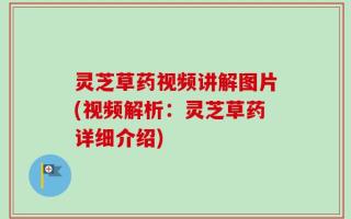 灵芝草药视频讲解图片(视频解析：灵芝草药详细介绍)