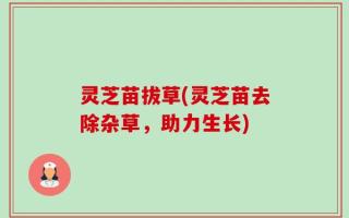 灵芝苗拔草(灵芝苗去除杂草，助力生长)