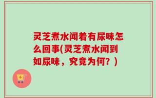 灵芝煮水闻着有尿味怎么回事(灵芝煮水闻到如尿味，究竟为何？)