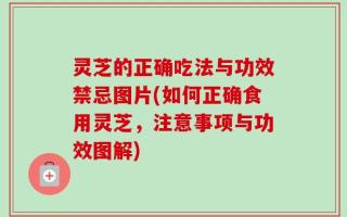 灵芝的正确吃法与功效禁忌图片(如何正确食用灵芝，注意事项与功效图解)