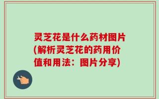 灵芝花是什么药材图片(解析灵芝花的药用价值和用法：图片分享)