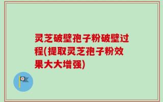 灵芝破壁孢子粉破壁过程(提取灵芝孢子粉效果大大增强)