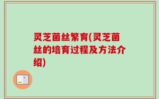 灵芝菌丝繁育(灵芝菌丝的培育过程及方法介绍)