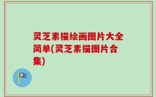 灵芝素描绘画图片大全简单(灵芝素描图片合集)