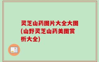 灵芝山药图片大全大图(山野灵芝山药美图赏析大全)