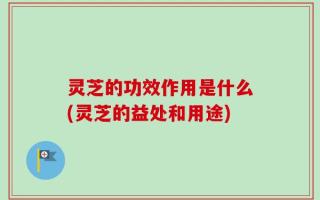 灵芝的功效作用是什么(灵芝的益处和用途)