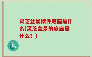 灵芝盆景摆件底座是什么(灵芝盆景的底座是什么？)