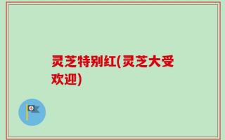 灵芝特别红(灵芝大受欢迎)