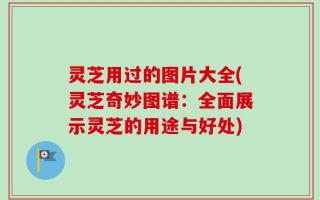 灵芝用过的图片大全(灵芝奇妙图谱：全面展示灵芝的用途与好处)