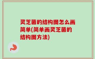 灵芝菌的结构图怎么画简单(简单画灵芝菌的结构图方法)