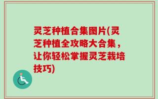 灵芝种植合集图片(灵芝种植全攻略大合集，让你轻松掌握灵芝栽培技巧)