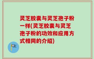灵芝胶囊与灵芝孢子粉一样(灵芝胶囊与灵芝孢子粉的功效和应用方式相同的介绍)