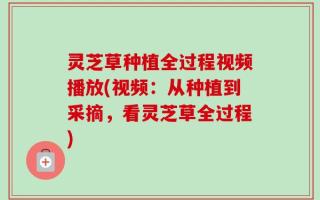 灵芝草种植全过程视频播放(视频：从种植到采摘，看灵芝草全过程)