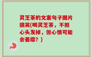 灵芝茶的文案句子图片搞笑(喝灵芝茶，不担心头发掉，但心情可能会萎靡？)
