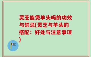 灵芝能煲羊头吗的功效与禁忌(灵芝与羊头的搭配：好处与注意事项)