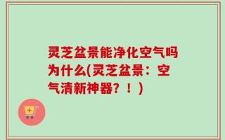 灵芝盆景能净化空气吗为什么(灵芝盆景：空气清新神器？！)