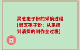 灵芝孢子粉的采摘过程(灵芝孢子粉：从采摘到消费的制作全过程)