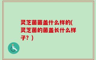 灵芝菌菌盖什么样的(灵芝菌的菌盖长什么样子？)