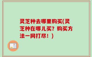 灵芝种去哪里购买(灵芝种在哪儿买？购买方法一网打尽！)