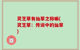 灵芝草有仙草之称嘛(灵芝草：传说中的仙草)