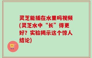 灵芝能插在水里吗视频(灵芝水中“长”得更好？实验揭示这个惊人结论)