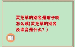 灵芝草的别名是啥子啊怎么读(灵芝草的别名及读音是什么？)