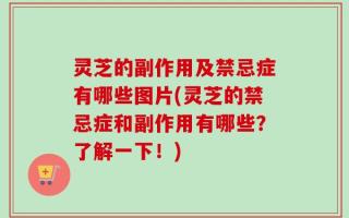 灵芝的副作用及禁忌症有哪些图片(灵芝的禁忌症和副作用有哪些？了解一下！)