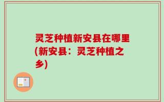 灵芝种植新安县在哪里(新安县：灵芝种植之乡)