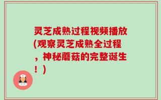 灵芝成熟过程视频播放(观察灵芝成熟全过程，神秘蘑菇的完整诞生！)
