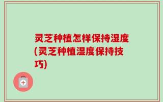 灵芝种植怎样保持湿度(灵芝种植湿度保持技巧)