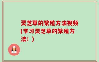 灵芝草的繁殖方法视频(学习灵芝草的繁殖方法！)