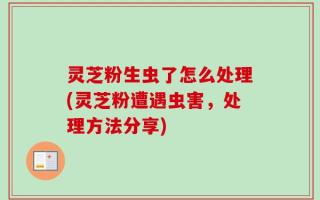 灵芝粉生虫了怎么处理(灵芝粉遭遇虫害，处理方法分享)