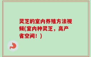 灵芝的室内养殖方法视频(室内种灵芝，高产省空间！)