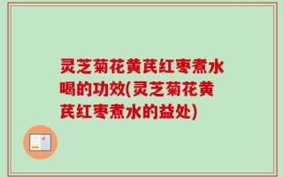 灵芝菊花黄芪红枣煮水喝的功效(灵芝菊花黄芪红枣煮水的益处)