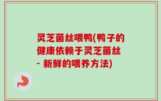 灵芝菌丝喂鸭(鸭子的健康依赖于灵芝菌丝 - 新鲜的喂养方法)
