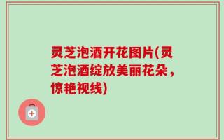 灵芝泡酒开花图片(灵芝泡酒绽放美丽花朵，惊艳视线)