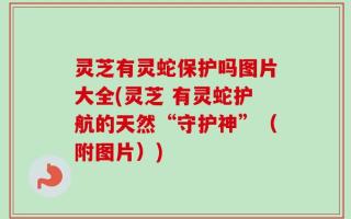 灵芝有灵蛇保护吗图片大全(灵芝 有灵蛇护航的天然“守护神”（附图片）)